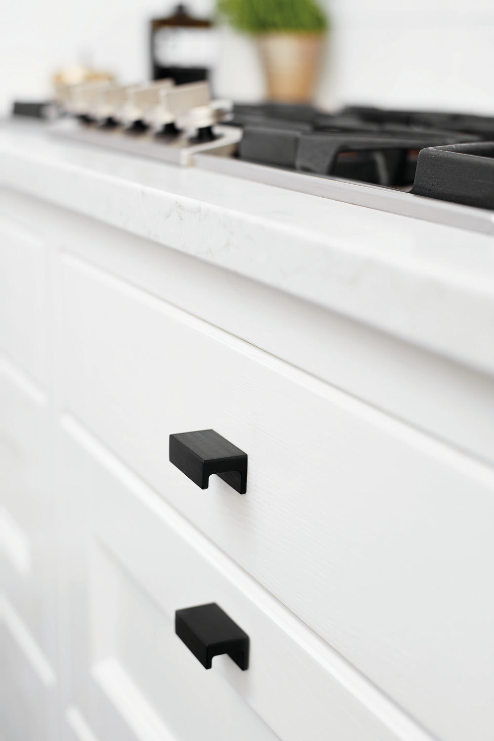 Station Knob